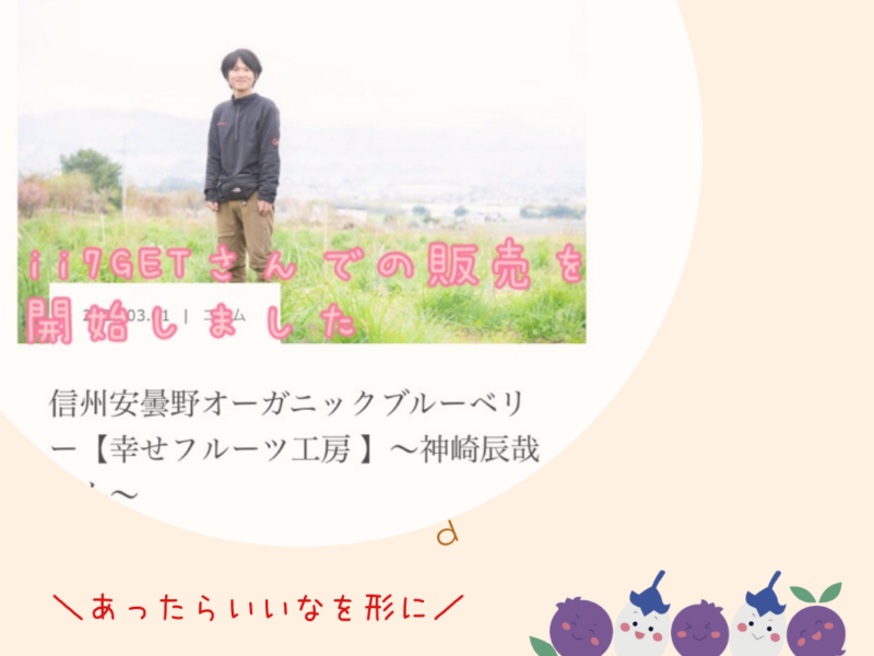 ブルーベリー農園の画像