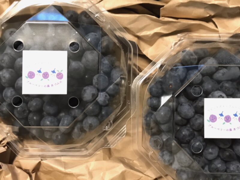 ブルーベリーの商品画像