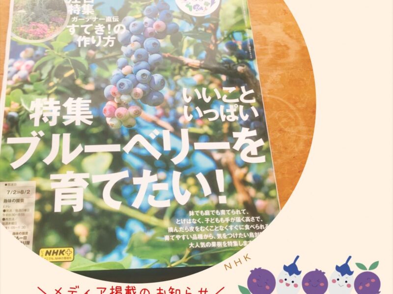 趣味の園芸の画像