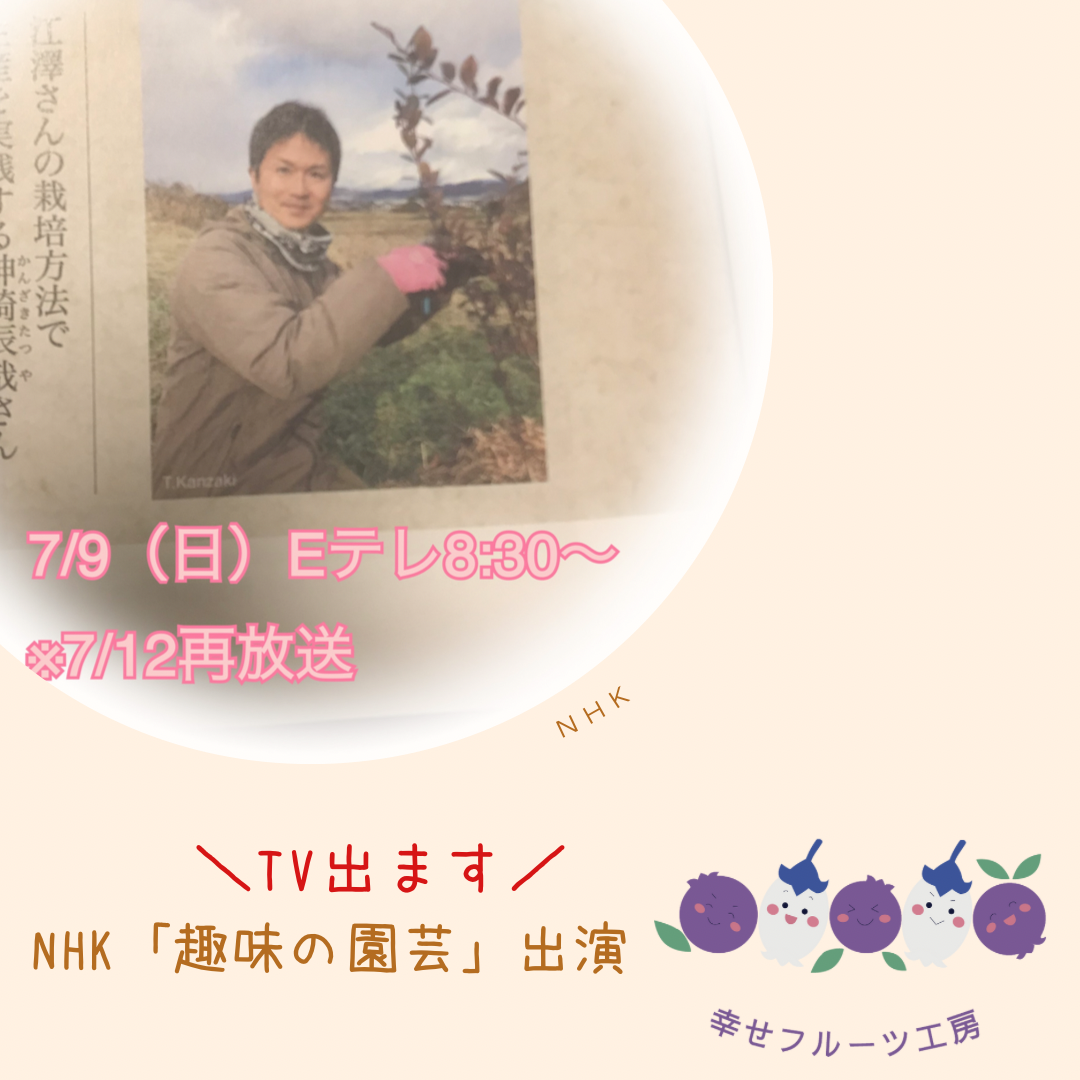 NHK出演のお知らせ画像