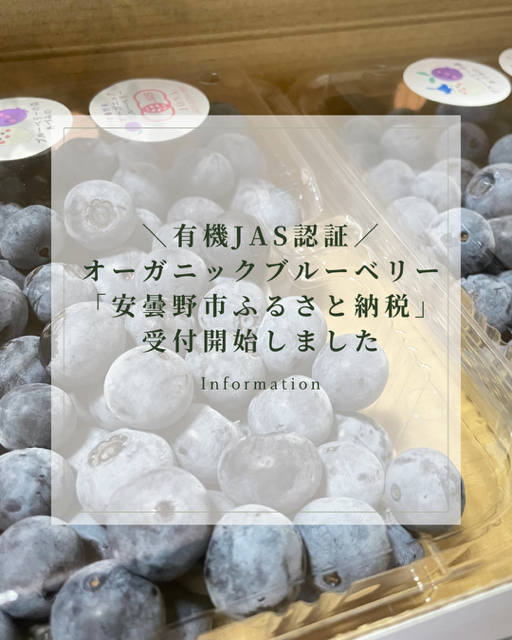 ふるさと納税の画像