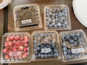 ブルーベリーの画像