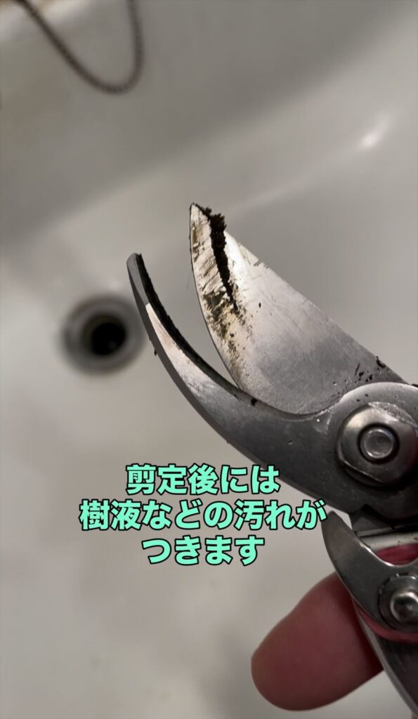 使用後の剪定ばさみの画像