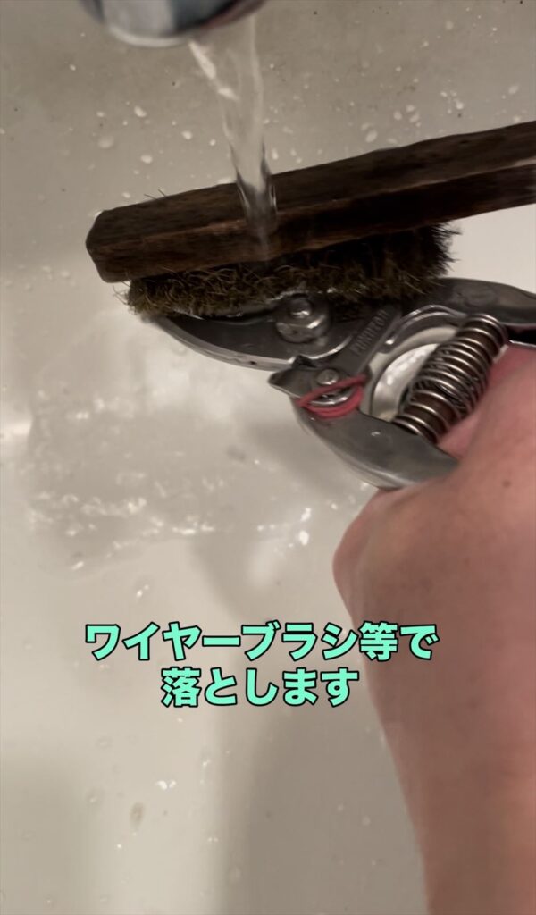 剪定さばみの洗浄