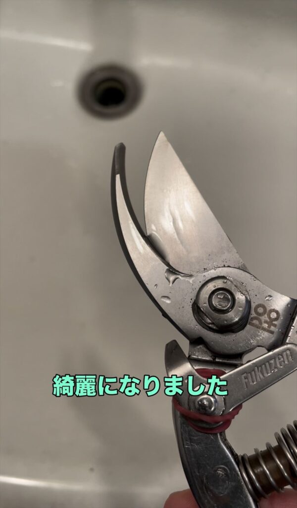 洗浄後の剪定ばさみの画像