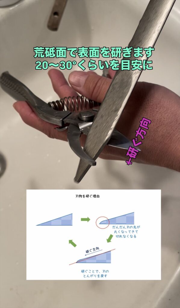 剪定ばさみを荒研面で研ぐ画像