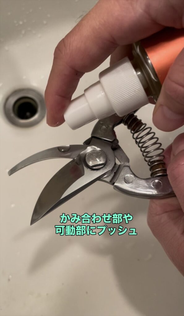 剪定さばみに保護油を塗っている画像