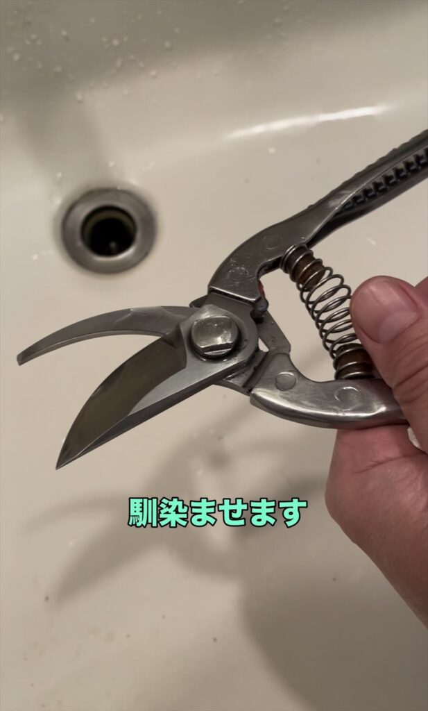 保護油を剪定ばさみに馴染ませている画像