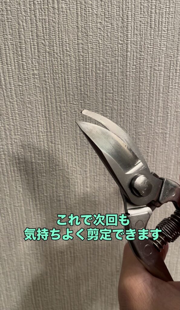 剪定バサミの画像