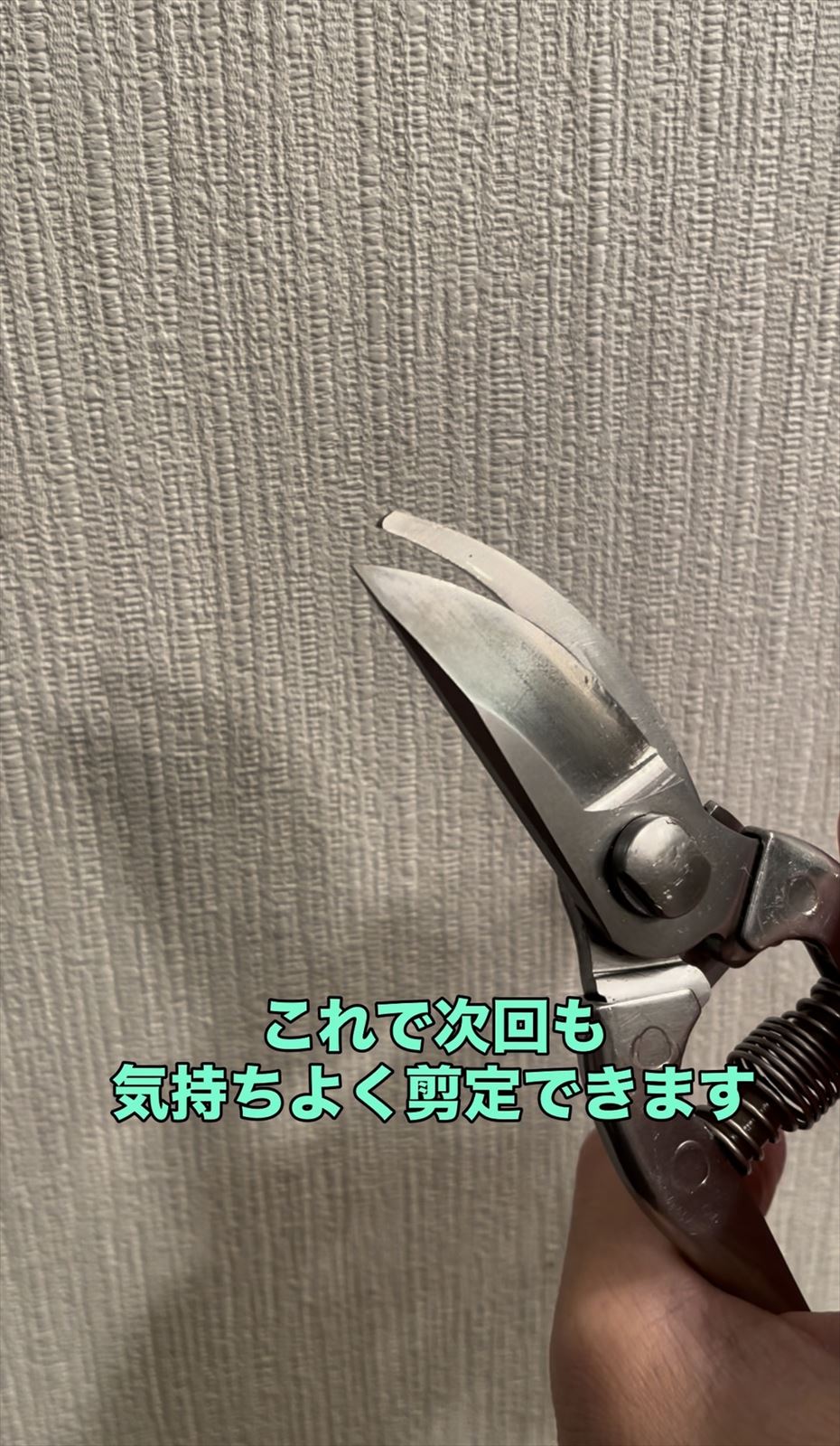 剪定バサミの画像