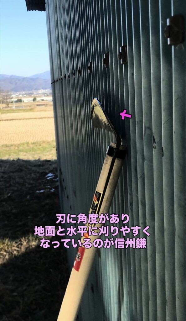 信州鎌の特徴の画像