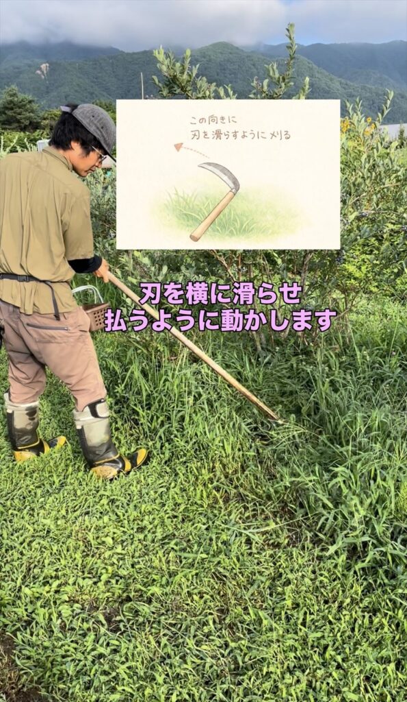 大鎌の使い方の画像