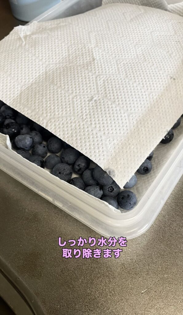濡れたブルーベリーの実を拭いて水気をとっている画像
