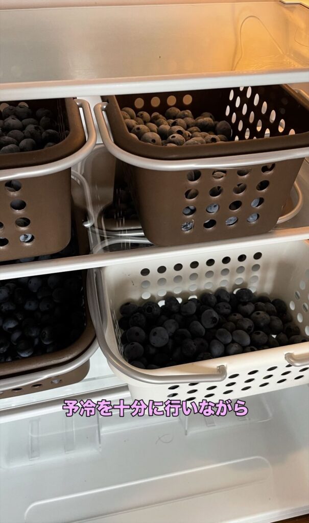 ブルーベリーの実を予冷している画像