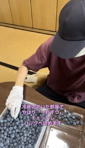ブルーベリーのパック詰めの画像