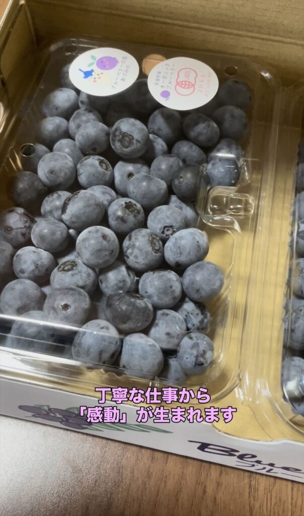 パック詰め後のブルーベリーの画像