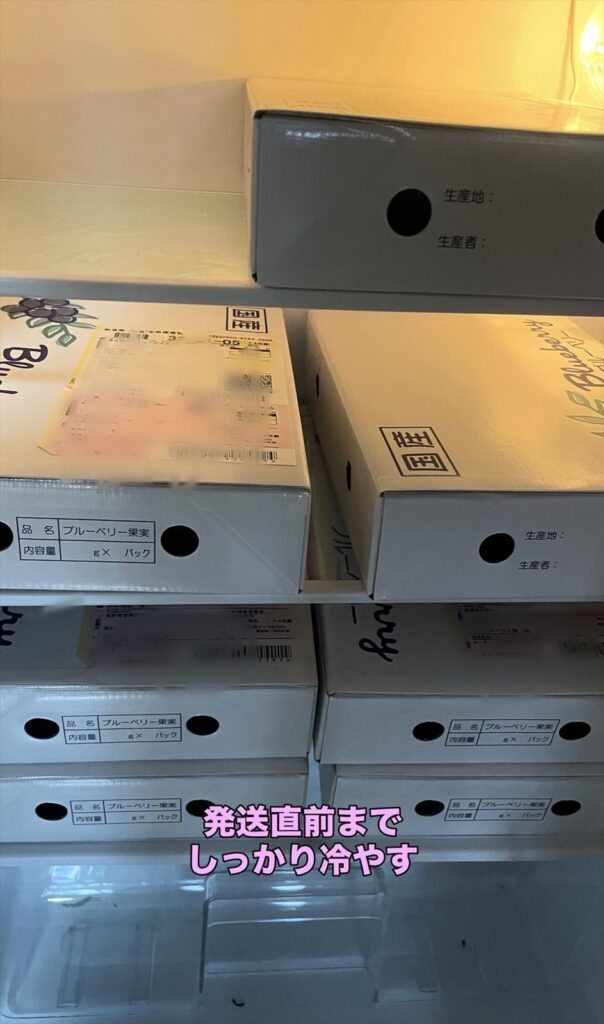 箱詰めして保冷されているブルーベリーの画像