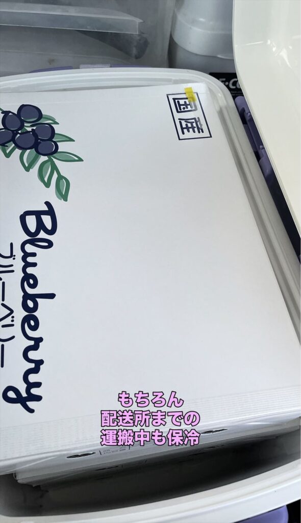 運搬中のブルーベリーの画像