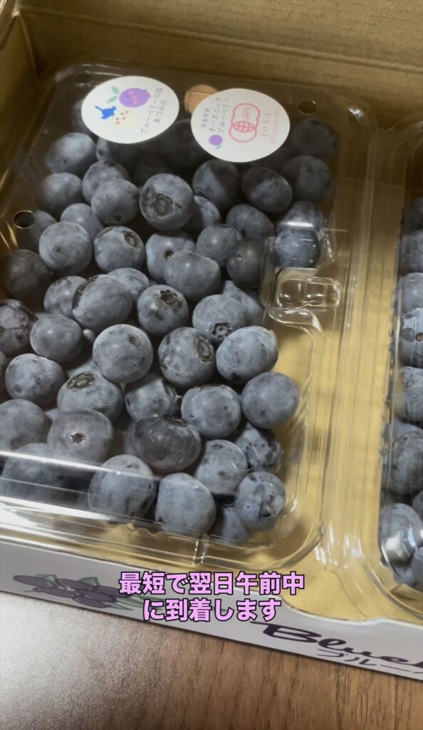 パック詰めされたブルーベリーの画像