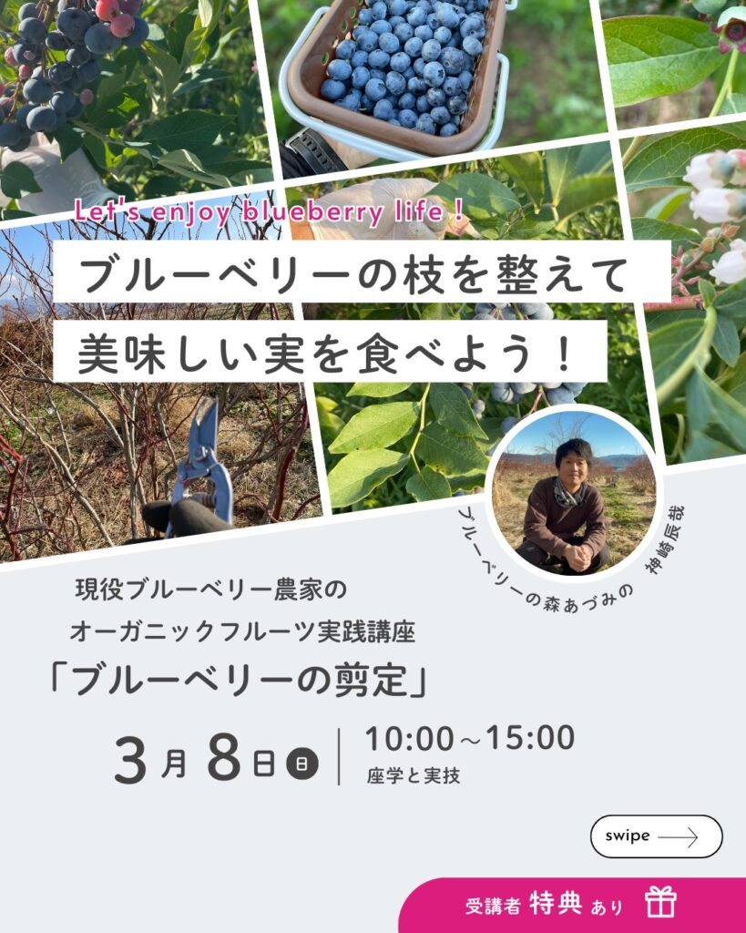 ブルーベリーの剪定講座のご案内の画像