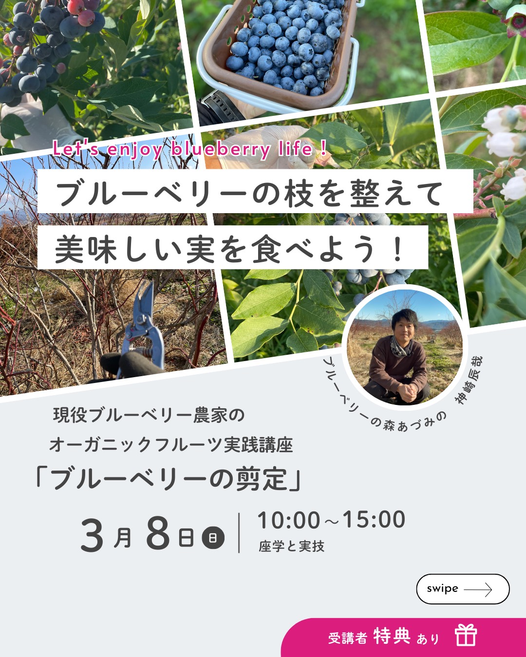 ブルーベリーの剪定講座のご案内の画像