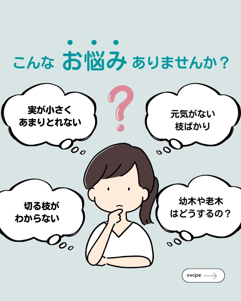 ブルーベリーの剪定講座の説明画像