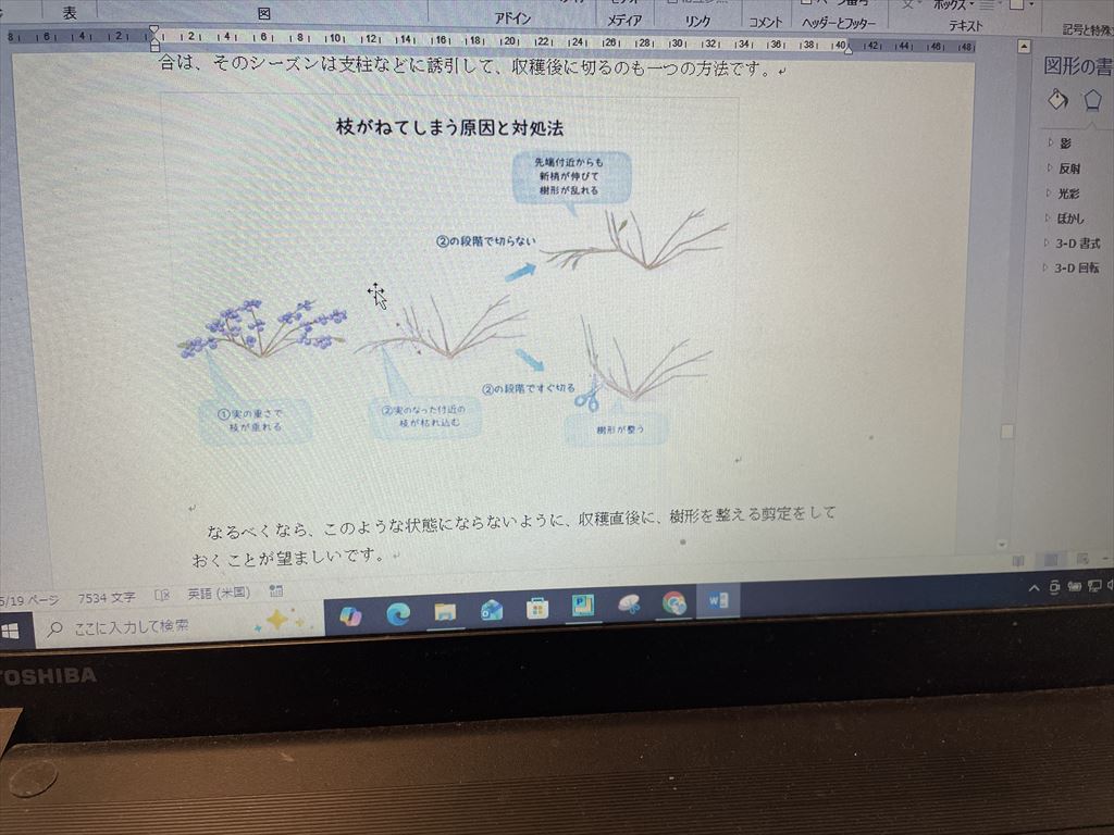 剪定講座のテキストのケーススタディの部分の画像