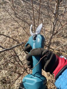 電動剪定ばさみの画像