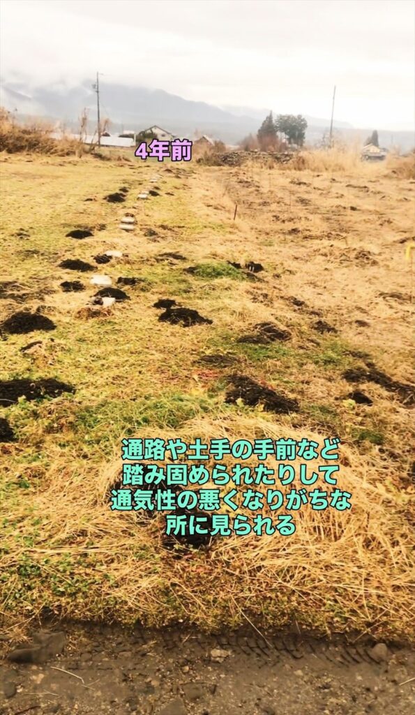 モグラの縦穴が通気性の悪い場所に多い説明画像