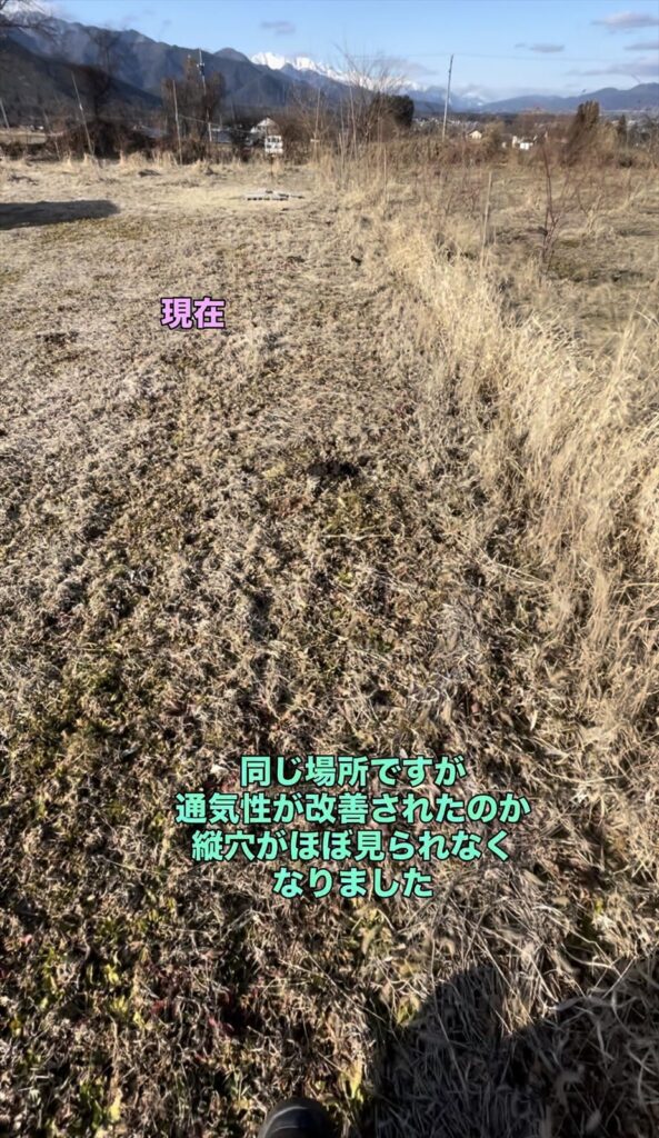 通気性が改善されモグラの縦穴が開かなくなった場所の画像