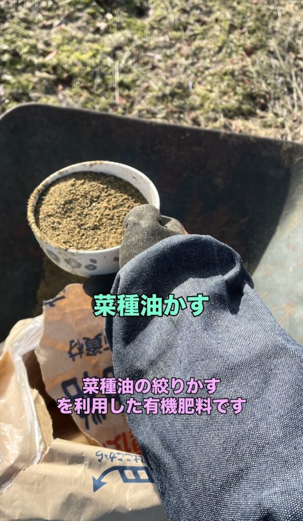 菜種油粕の画像