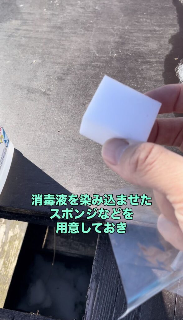 消毒液をしみこませたスポンジの画像