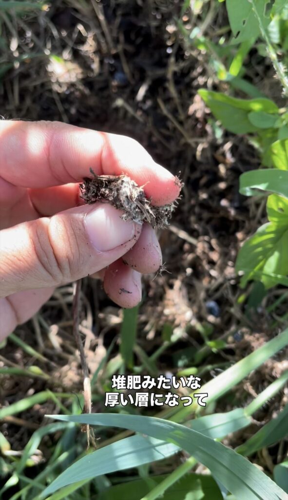 堆肥化した枯草や落葉の画像