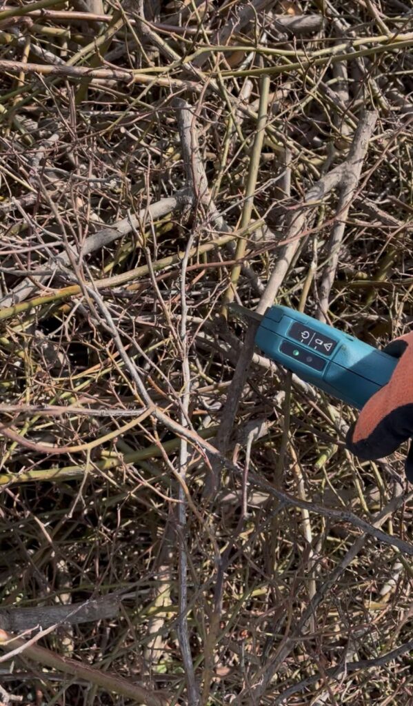 剪定枝を細かく刻む画像