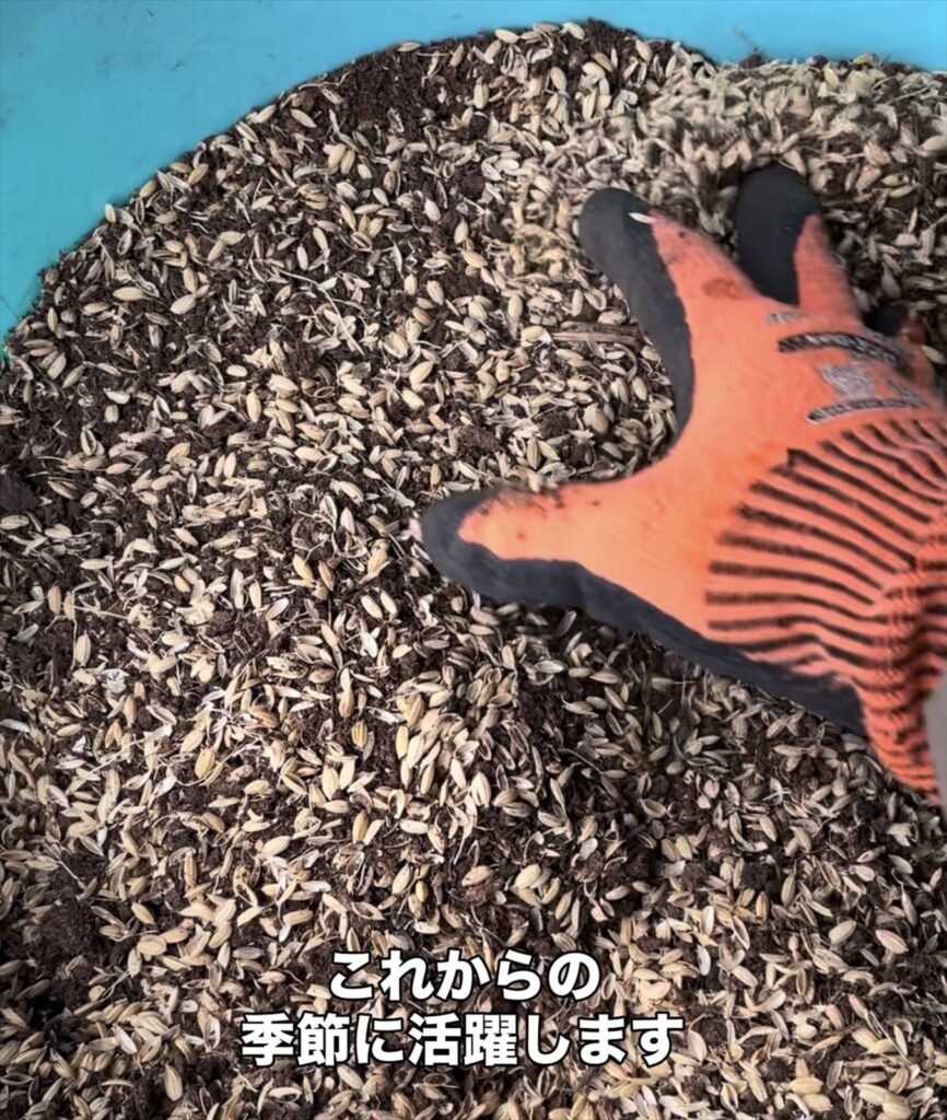 ブルーベリー用土の画像