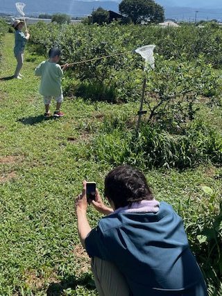 ブルーベリーのお客さんの画像